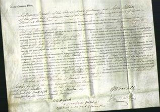Court of Common Pleas - Elizabeth Mary Griffith-Original Ancestry