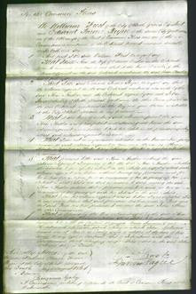 Court of Common Pleas - Ann Austen-Original Ancestry