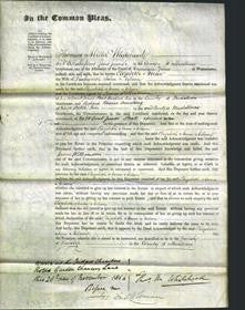 Court of Common Pleas - Elizabeth Anne Nelson-Original Ancestry