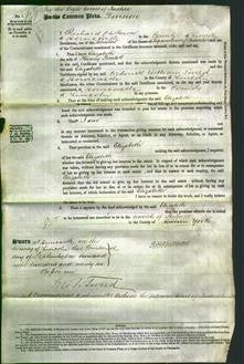 Court of Common Pleas - Elizabeth Pimlott-Original Ancestry