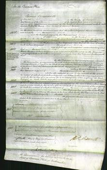 Court of Common Pleas - Ann Nicholls-Original Ancestry