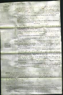 Court of Common Pleas - Mary Ann Goy-Original Ancestry
