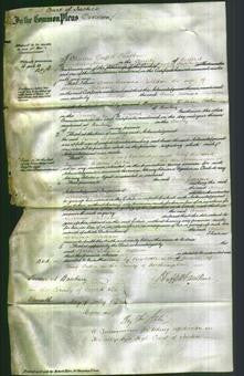 Court of Common Pleas - Anne Jemima Bellam-Original Ancestry