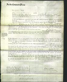 Court of Common Pleas - Sarah Holloway-Original Ancestry