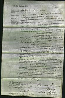 Court of Common Pleas - Hannah Turner-Original Ancestry