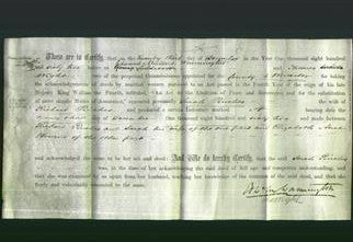 Deed by Married Women - Sarah Pinches-Original Ancestry