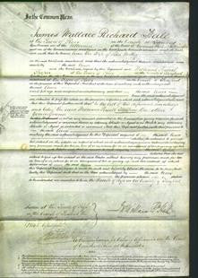 Court of Common Pleas - Ann Woolley-Original Ancestry