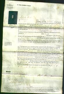 Court of Common Pleas - Margaret Owen, Elizabeth Griffiths and Mary Williams-Original Ancestry