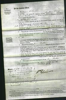 Court of Common Pleas - Jane Preston-Original Ancestry