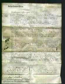 Court of Common Pleas - Mary Ann Mann Ashfield-Original Ancestry