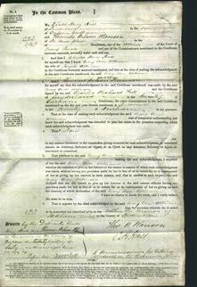 Court of Common Pleas - Mary Ann Atkinson-Original Ancestry