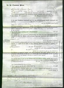 Court of Common Pleas - Margaret Hayne-Original Ancestry