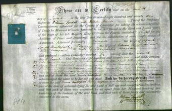 Deed by Married Women - Emma Winterfield, Fanny Vaughan and Helen Margaret Hargrave-Original Ancestry