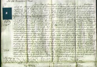 Court of Common Pleas - Susan Bayley-Original Ancestry