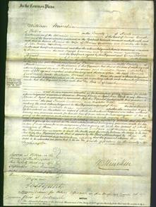 Court of Common Pleas - Harriet Goodman and Arabella Moore-Original Ancestry