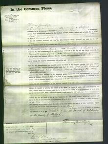 Court of Common Pleas - Ann Habberley-Original Ancestry