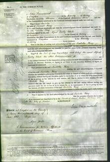 Court of Common Pleas - Isabella King-Original Ancestry