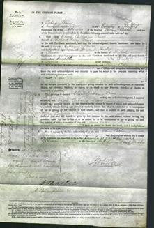 Court of Common Pleas - Olivia Catharine Prince-Original Ancestry