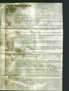 Court of Common Pleas - Adelaide Cassels-Original Ancestry