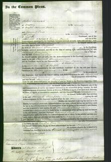 Court of Common Pleas - Hannah Thompson-Original Ancestry