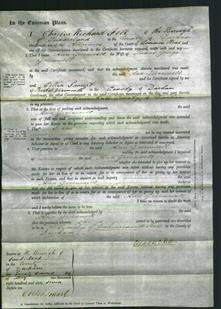 Court of Common Pleas - Ann Greenwell-Original Ancestry