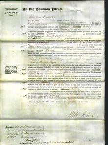 Court of Common Pleas - Nancy Hiblett-Original Ancestry