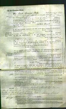 Court of Common Pleas - Eliza Parkhouse-Original Ancestry