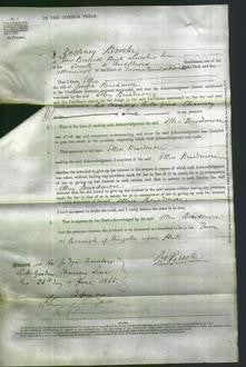 Court of Common Pleas - Ellen Beardmore-Original Ancestry