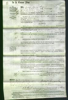 Court of Common Pleas - Anne Penny