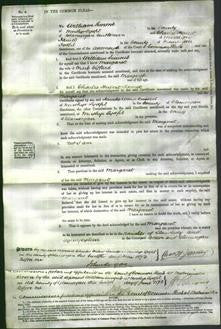 Court of Common Pleas - Margaret Gifford-Original Ancestry