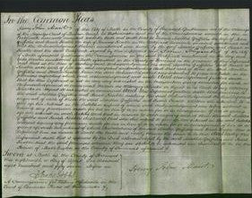 Court of Common Pleas - Martha Griffiths and Sarah Keable-Original Ancestry
