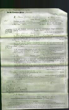 Court of Common Pleas - Sophia Cartwright-Original Ancestry