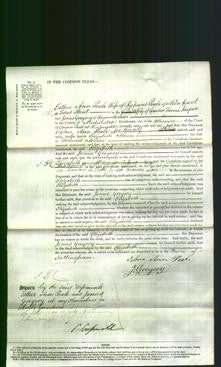 Court of Common Pleas - Elizabeth Moore-Original Ancestry