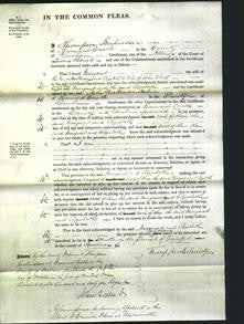 Court of Common Pleas - Margaret Holliday and Elizabeth White-Original Ancestry