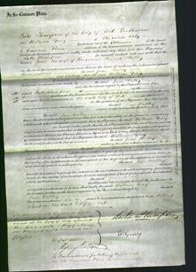 Court of Common Pleas - Jane Halley-Original Ancestry