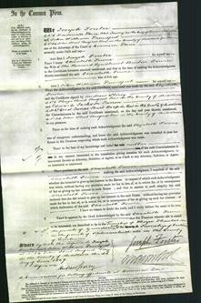 Court of Common Pleas - Elizabeth Towne-Original Ancestry