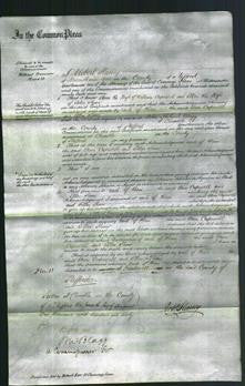 Court of Common Pleas - Ann Capewell and Ellen Shaw-Original Ancestry