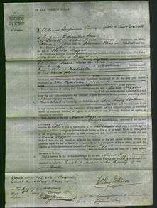 Court of Common Pleas - Maria Higgins-Original Ancestry