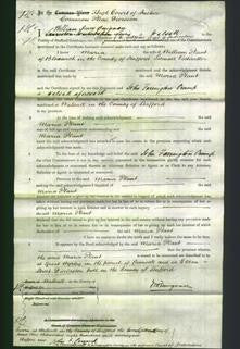 Court of Common Pleas - Maria Plant-Original Ancestry