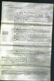 Court of Common Pleas - Mary Ann Boyle-Original Ancestry