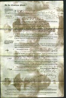 Court of Common Pleas - Mary Jackson, Caroline Ann Whittaker-Original Ancestry