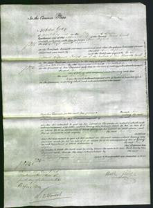 Court of Common Pleas - Ann Stephens-Original Ancestry