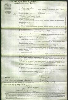 Court of Common Pleas - Jane White-Original Ancestry