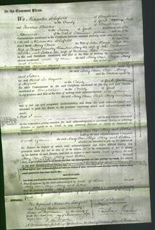 Court of Common Pleas - Mary Ann Briggs, Eliza Chambers, Mary Wilkinson and Esther Chambers