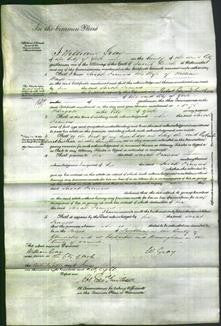 Court of Common Pleas - Sarah Frances Waite-Original Ancestry