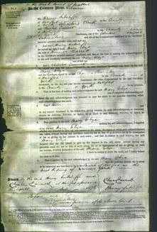 Court of Common Pleas - Mary Eliza Barratt-Original Ancestry