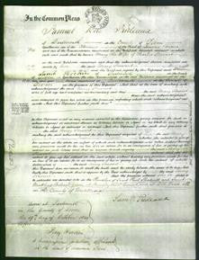 Court of Common Pleas - Mary Stewart-Original Ancestry