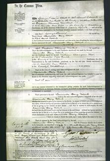 Court of Common Pleas - Lawrinda Davy Patrick-Original Ancestry
