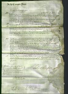 Court of Common Pleas - Maria Nalton, Sarah Nalton and Frances Mary Dewse-Original Ancestry