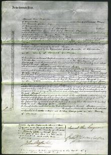 Court of Common Pleas - Susan Vallis-Original Ancestry
